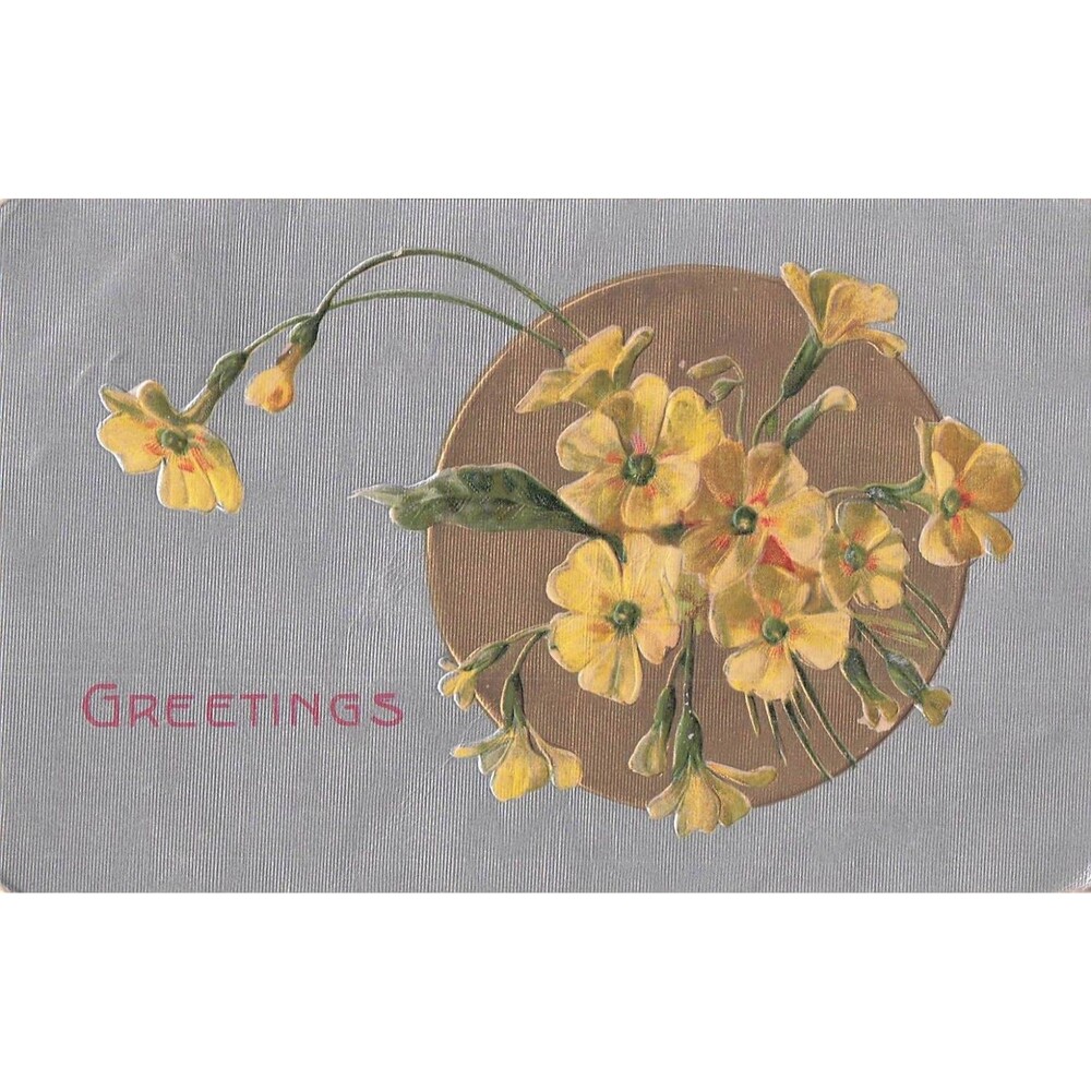 1909 Embossed Floral Greetings Postcard Yellow Flowers Vintage Antique decor art